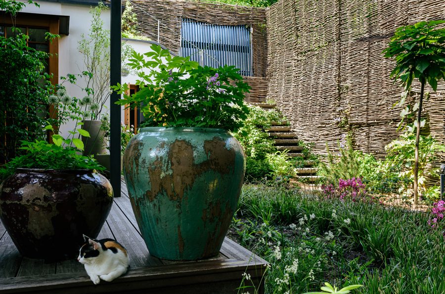 Architecte paysagiste jardin contemporain