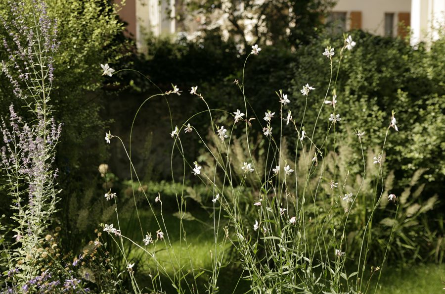 Architecte paysagiste 92 Hauts-de-Seine
