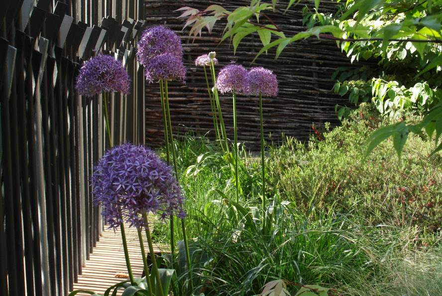 Architecte paysagiste jardin contemporain