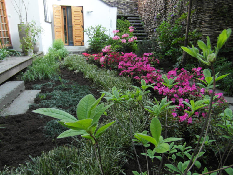 Architecte paysagiste jardin contemporain