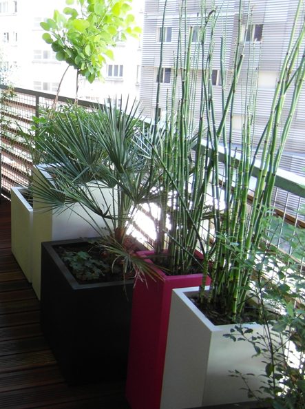 Architecte paysagiste Paris (75)