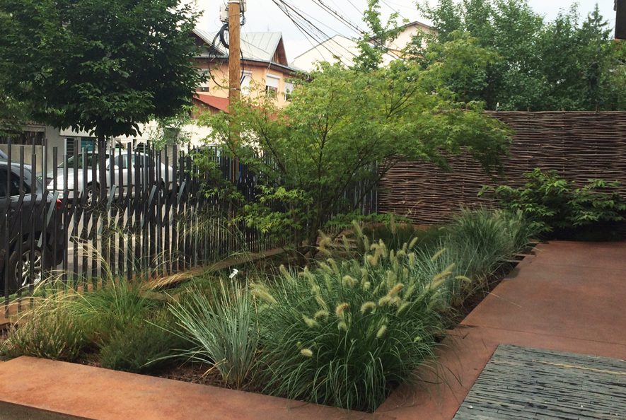 Architecte paysagiste jardin contemporain