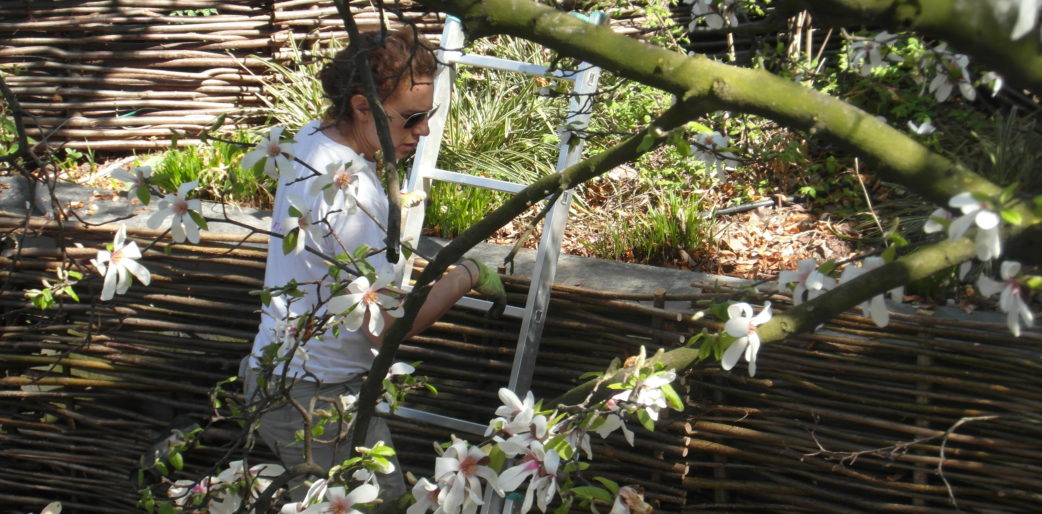 Quelle est la meilleure saison pour planter au jardin?