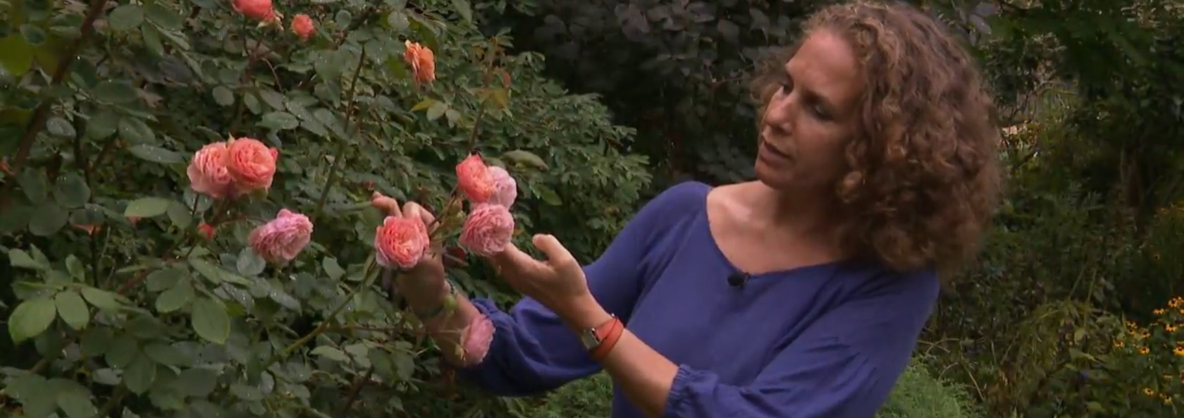 RTBF interview on the Nuancier du jardinier