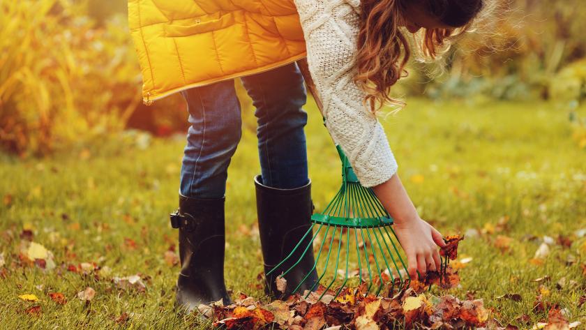 Dans l'enfer des souffleurs de jardin - Canopées