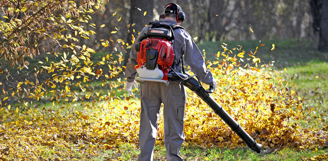 Living in leaf blower’s hell