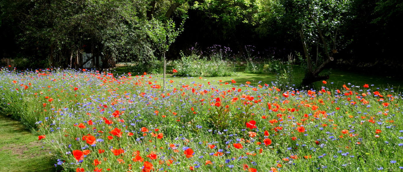 Le printemps revient! C'est le moment de se replonger dans vos projets d'aménagement...